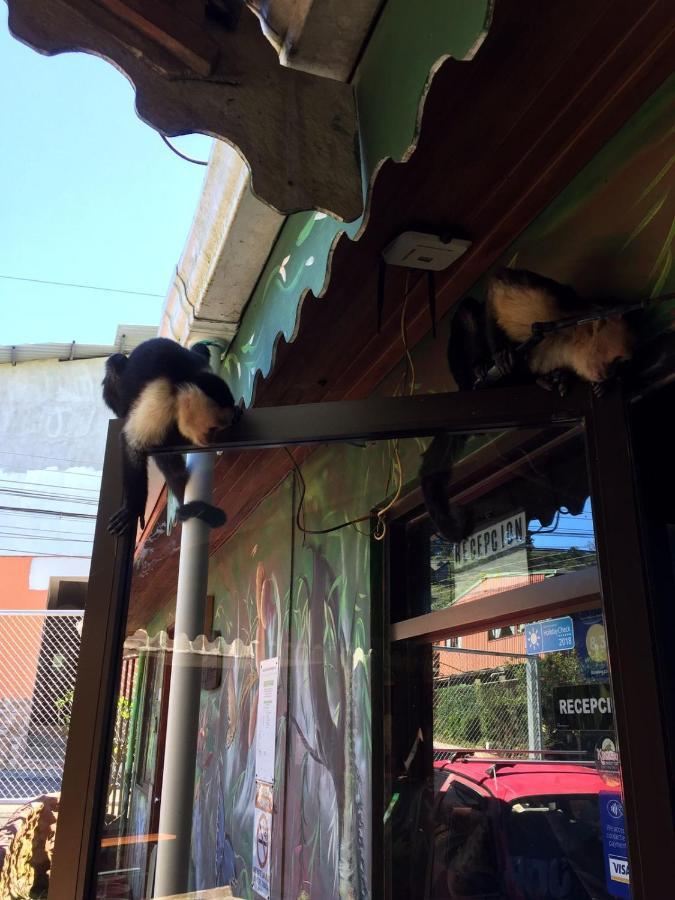 Manakin Lodge, Monteverde Cr 外观 照片