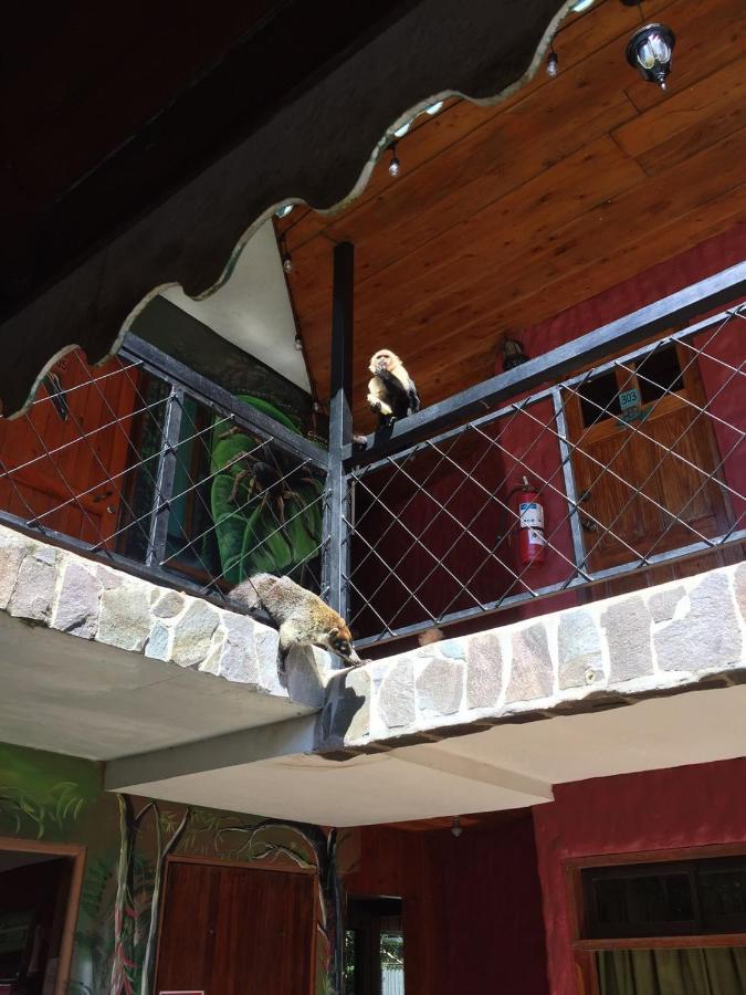 Manakin Lodge, Monteverde Cr 外观 照片
