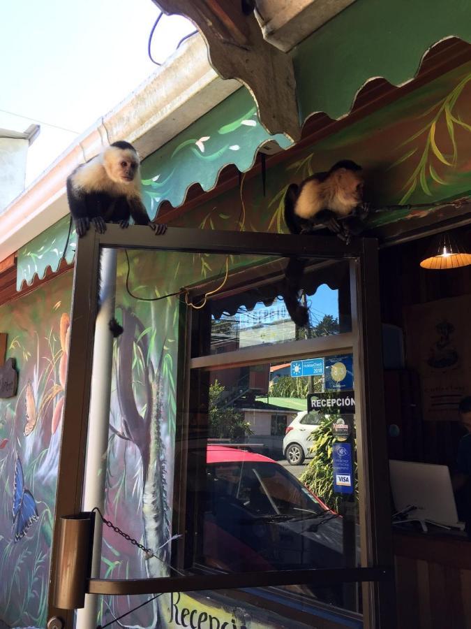 Manakin Lodge, Monteverde Cr 外观 照片